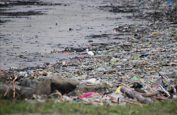 Manila Bay trash