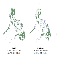 Why your tree planting isn't helping the Philippine environment